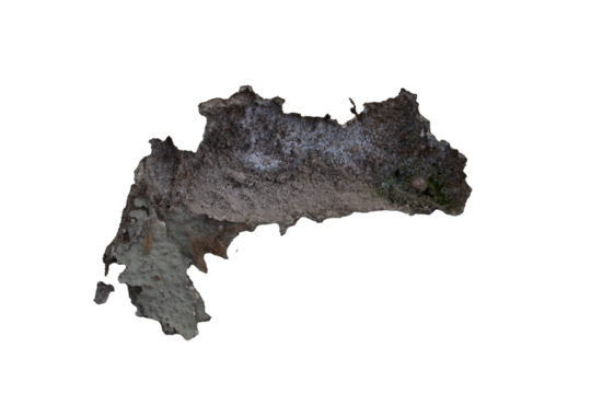 Moisture stains and plaster in poor condition, peeling paint