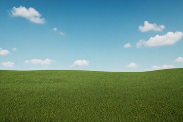 Obraz premium green field and blue sky