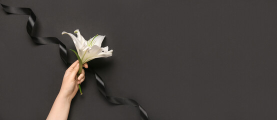 Female hand with beautiful lily flower and ribbon on black background