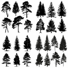 Obraz premium black tree silhouette set pure badge eco outline recreation breath emblem label protection graphic pine trunk woodland
