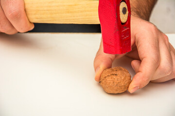 Cracking a walnut with a hammer close-up
