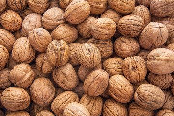 Screen walnut textured background covered with walnuts