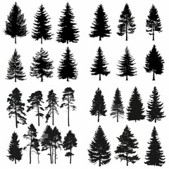 Obraz premium black tree silhouette set pure badge eco outline recreation breath emblem label protection graphic pine trunk woodland
