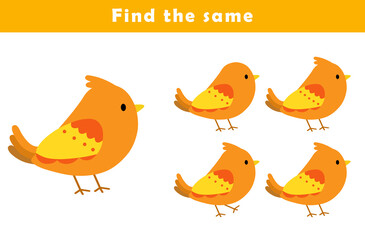 Find same picture worksheet for kids. Worksheet for kids kindergarten, preschool and school age. Education game for children with cute bird illustration.	