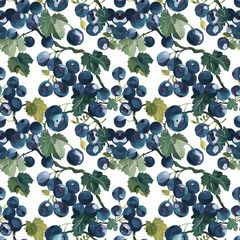 Blueberries and Leaves on White Background