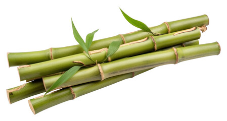 PNG  Bamboo plant asparagus freshness.