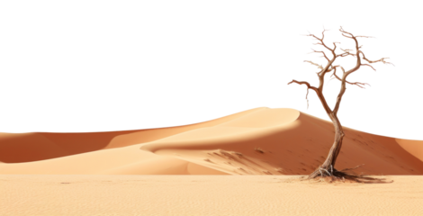 PNG  Nature desert outdoors ground.