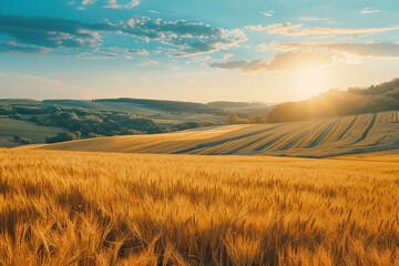 A picturesque countryside landscape with rolling fields of golden wheat, bathed in the warm light...