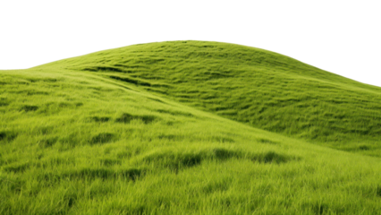 PNG Grass hill grassland landscape.