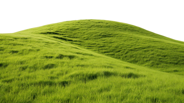 PNG Grass hill grassland landscape.