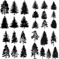 black tree silhouette set pure badge eco outline recreation breath emblem label protection graphic pine trunk woodland