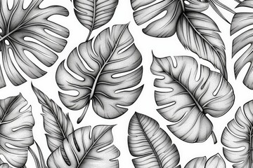 Monochrome Drawing of Tropical Leaves