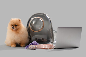 Cute Pomeranian dog with backpack carrier, accessories and laptop on light background