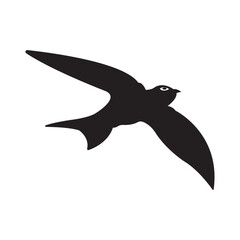 swallow icon vector illustration design template