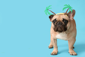 Cute French bulldog with palm accessory on blue background