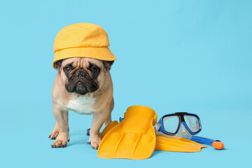 Cute French bulldog with hat, flippers and diving mask on blue background