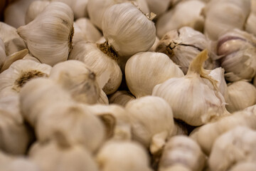 Background of Garlic Bulbs