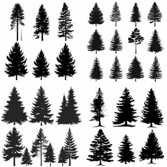 black tree silhouette set pure badge eco outline recreation breath emblem label protection graphic pine trunk woodland
