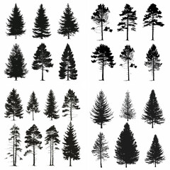 Obraz premium black tree silhouette set pure badge eco outline recreation breath emblem label protection graphic pine trunk woodland