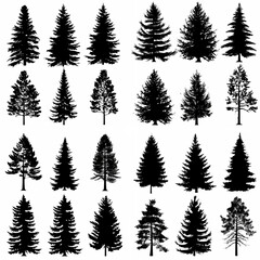 black tree silhouette set pure badge eco outline recreation breath emblem label protection graphic pine trunk woodland