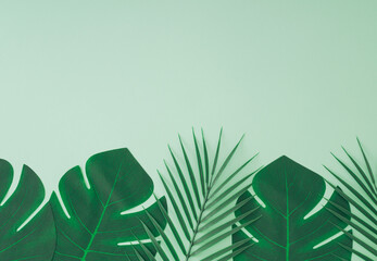 Creative trendy summer composition made with tropical green palm leaves on pastel green background with copy space. Minimal concept. Nature layout. Monochromatic flat lay. Top of view.