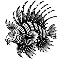 black and white fishes