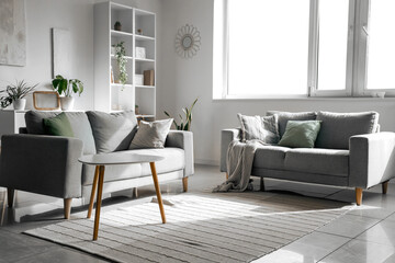 Interior of light living room with green plants and sofas