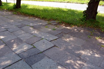 Damaged sidewalk with concrete blocks - the tree roots grew under the pavement , damaging it