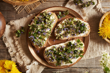 Purple ground-ivy flowers and green leaves harvested in spring on slices of sourdough bread