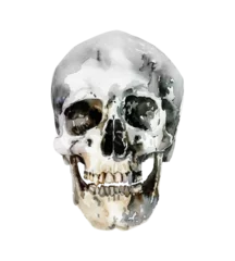 skull watercolor digital painting good quality