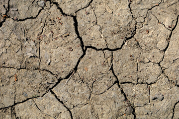 A cracked and broken ground with a few trees in the background