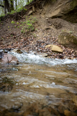 Natural Stream with flowing water