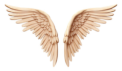 Obraz premium Angel wings icon wood white background creativity.