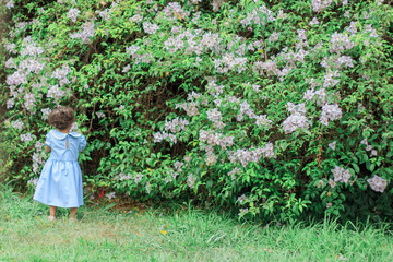 Little Girl in the Garden