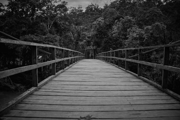 the wooden bridge in black and white
