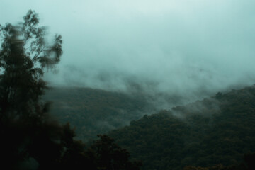 Fototapeta premium Cloud Forest in Salta Argentina on the road in a rainy day