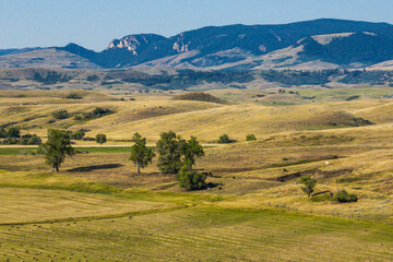 Bighorn Mountains Foothills near Sheridan, Wyoming 