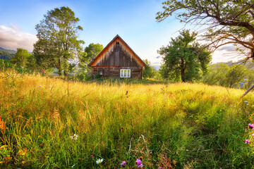 Amazing countryside landscape of romanian village Rogojel with forested hills and grassy meadows in...