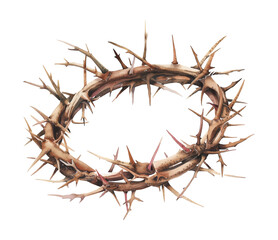 crown thorns watercolor digital painting good quality