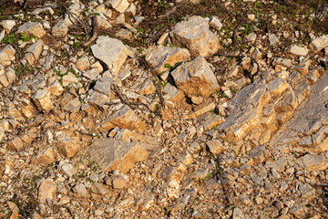 Red rocks of different shapes and sizes on the ground. Orange texture. Background. For text. For...