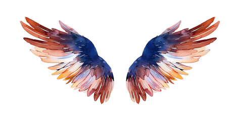 Fototapeta premium angel wings watercolor digital painting good quality