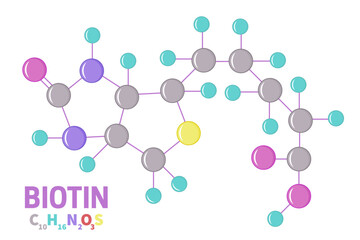 Biotin Vitamin B7 Molecule Illustration