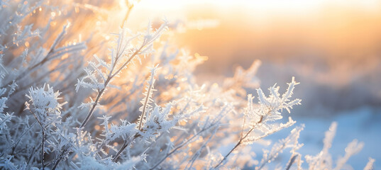 Close-up of frost-covered tundra grass against a backdrop of a foggy, early morning sky, highlighting the intricate ice crystals