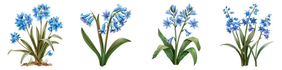Fototapeta na wymiar Collection of Scilla isolated on transparent png background. Generative ai