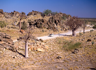 Road through the Kimberleys region of Western Australia.