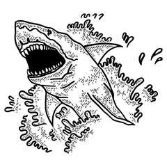 Shark jumps out of water and opens its mouth sketch engraving PNG illustration. T-shirt apparel print design. Scratch board style imitation. Black and white hand drawn image.