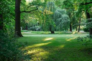 Serene park with lush trees and a spacious green lawn, perfect for relaxation and leisure activities