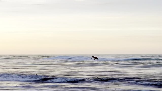 Persona surfeando olas del mar caribe durante el atardecer