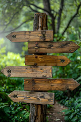 Rustic wooden signpost with directional arrows