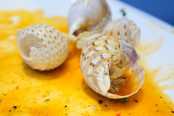 clams in the shell, cooked, tasty, healthy, fresh seafood